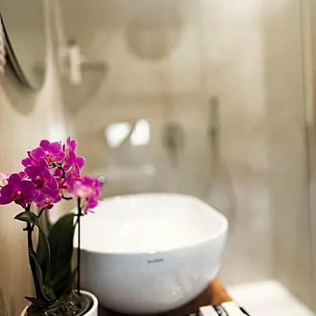Magnolia Hotel 3*